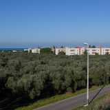 Siamo andati a visitare il quartiere Catino, che prende il nome dal fatto che in questa zona confluiva anticamente acqua dalla campagna, creando appunto un �catino�